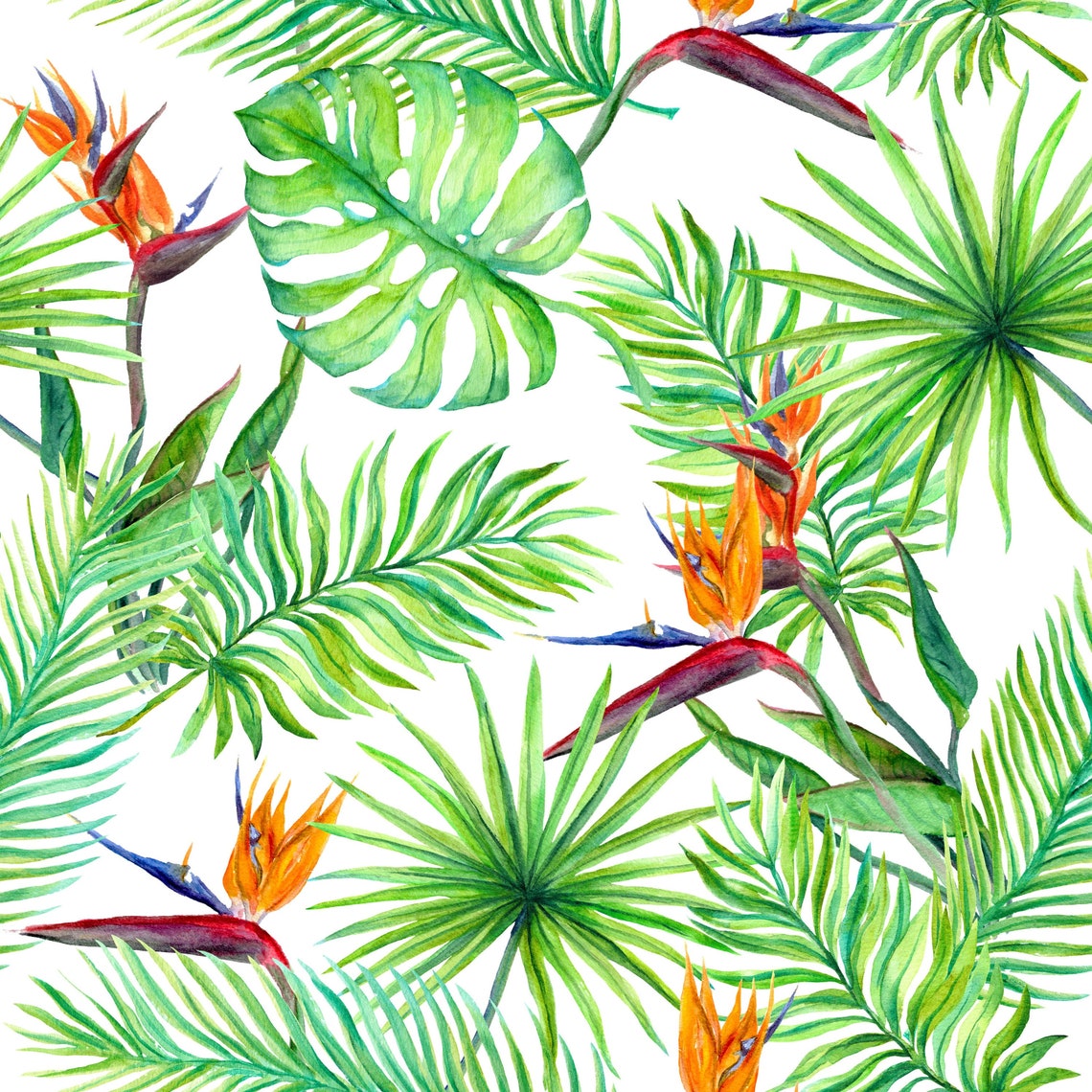 Birds of paradise wallpaper peel and stick removable wall | Etsy