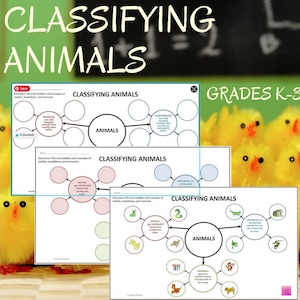 May include: A printable worksheet for classifying animals. The worksheet has three sections, each with a diagram of a circle labeled "Animals" with connecting circles for "Reptiles", "Amphibians", and "Mammals". The worksheet is titled "Classifying Animals" and is labeled for grades K-3.