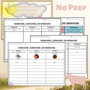 Herbivore, Carnivore, Omnivore Science Graphic Organizer