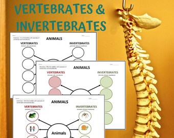 Buy Invertebrate Drawing Online In India - Etsy India Buy Invertebrate Drawing Online In India - Etsy India