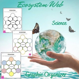 Ecosystems Web Graphic Organizer | Middles School Science