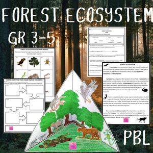 Forest Ecosystem Science Diorama Project
