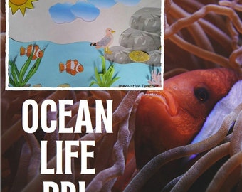 Ocean Life Ecosystem Science Unit | Project Based Learning
