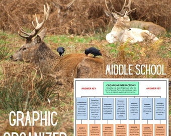 Interaktionen unter Organismen Graphic Organizer | Mittelschule Wissenschaft