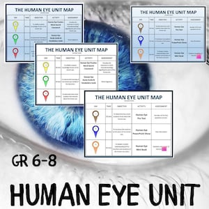 Human Eye Unit | Middle School Science