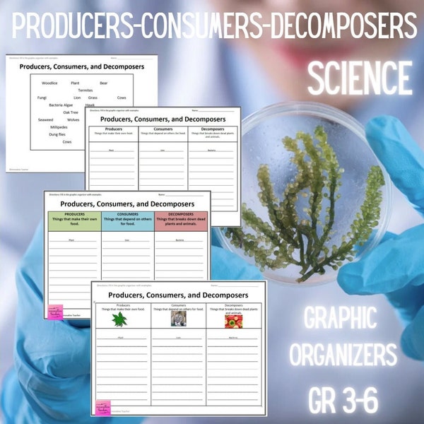 Producers, Consumers, Decomposers Science Graphic Organizers