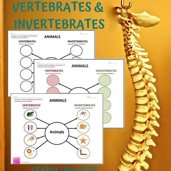 Vertebrates and Invertebrates Science Graphic Organizer