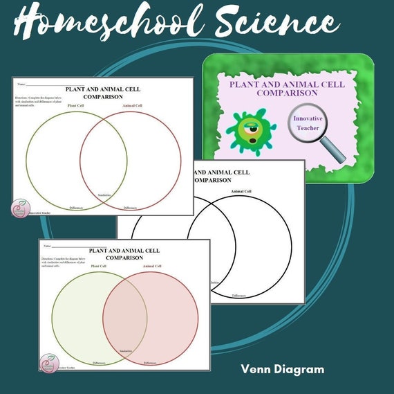 Plant and Animal Cell Science Venn Diagram Worksheet - Etsy UK Plant and Animal Cell Science Venn Diagram Worksheet - Etsy UK