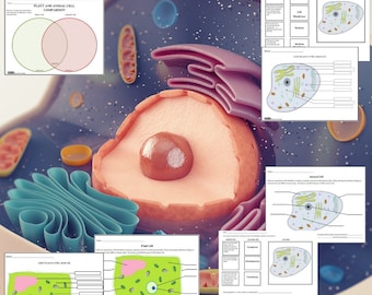 Plant and Animal Cell Study Science BUNDLE