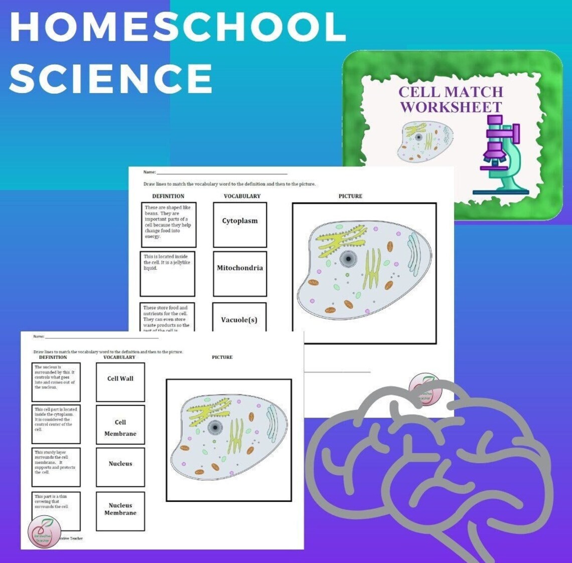 Match Science Cell Match Science Worksheet - Etsy
