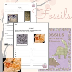 Fossil Observation and Inference No-Prep Science Worksheet