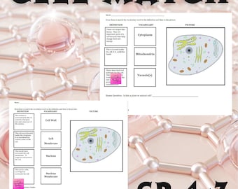 Cell Match Science Worksheet