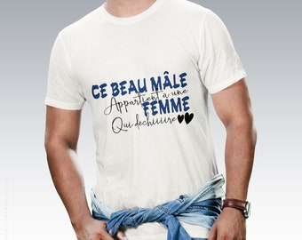 T-shirt / Beau mâle / idée cadeau / papa / humour