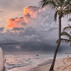 May include: A palm tree on a sandy beach with a cloudy sky and a body of water in the background. The sky is a mix of gray and pink clouds.