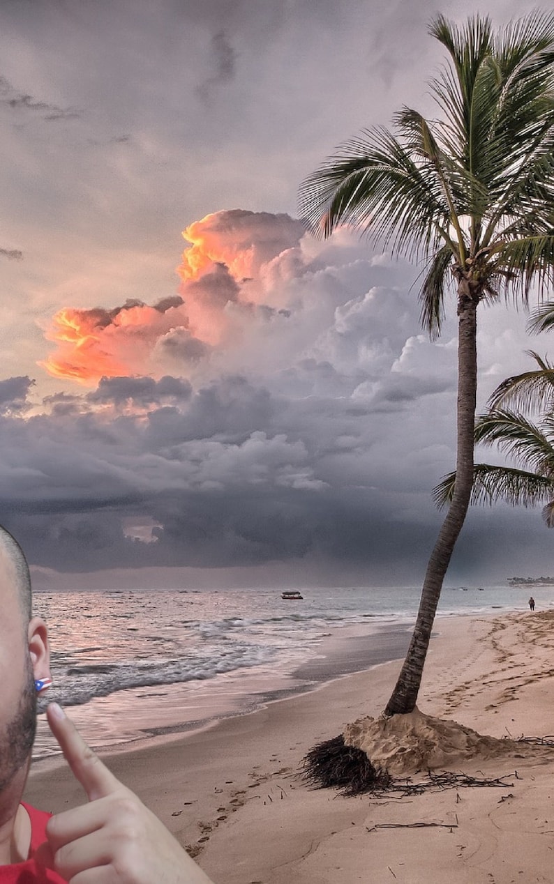 May include: A palm tree on a sandy beach with a cloudy sky and a body of water in the background. The sky is a mix of gray and pink clouds.