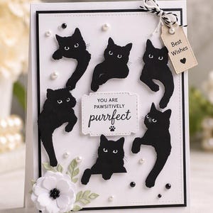 以下が含まれることがあります： 5匹の黒猫のシルエット、"YOU ARE PAWSITIVELY purrfect"という文字と肉球が描かれた中央のラベル、ハート付きの"Best Wishes"タグ、パールの付いた白い花の装飾があしらわれた白いグリーティングカード。