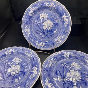 SPODE Blue Room Collection Floral Plate Blue White Botanical