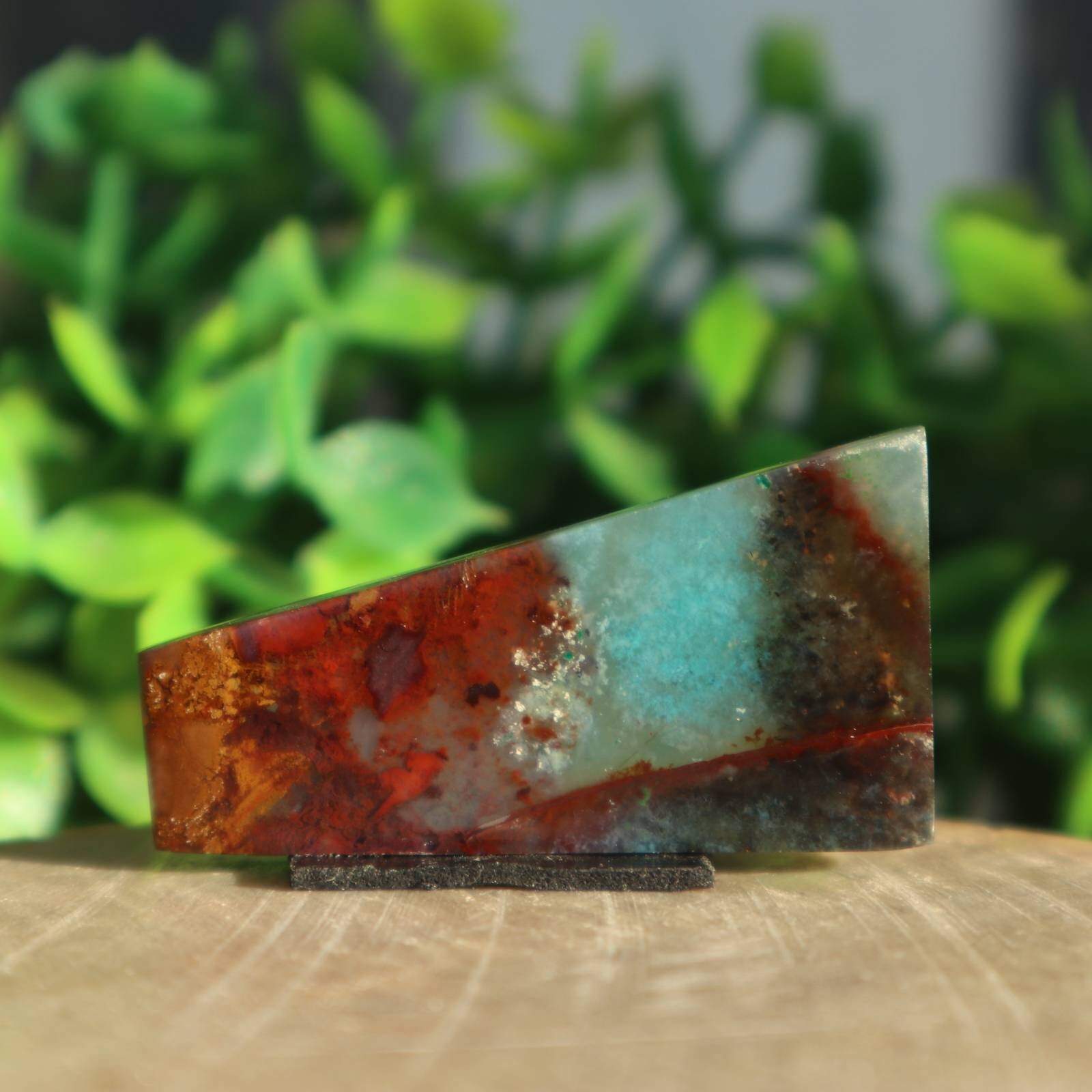 Natural Blue Opalized Petrified Wood Etsy Canada