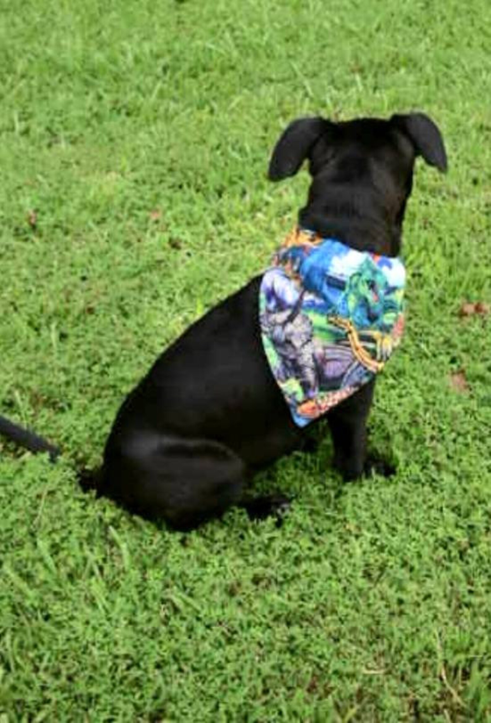 Handmade Dinosaur safe dog pet bandana fits over collar Etsy