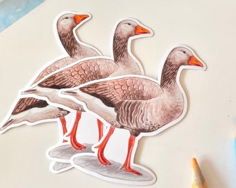 Greylag Goose Vinyl Sticker | cute goose, die cut vinyl sticker, laptop notebook journal water bottle, bird lover gift, handmade geese sticker
