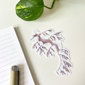 Leafy Seadragon Sticker Waterproof Vinyl Sticker, Cute Marine Life Illustration, Seahorse Decal, Laptop Notebook Sticker image 3