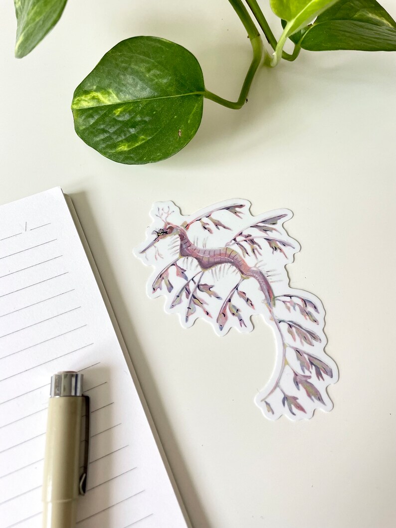 Leafy Seadragon Sticker Waterproof Vinyl Sticker, Cute Marine Life Illustration, Seahorse Decal, Laptop Notebook Sticker image 3