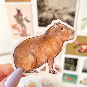 Capybara decoration - .de