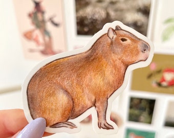 Capybara Sticker - Waterproof Vinyl Sticker, Cute Capybara Decal, Scrapbooking Decor, Laptop, Water Bottle, Notebook Stickers