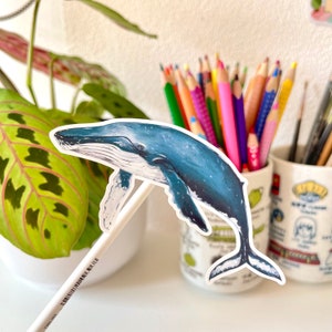 Humpback Whale Sticker - cute whale laptop sticker, animal decal, ocean life art, bujo scrapbook decoration, planner sticker, whale painting