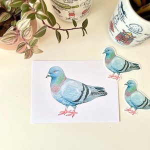 Pigeon Postcard A6 Pigeon Greeting Card, Bird Mini Art Print, illustrated animal greeting card image 2