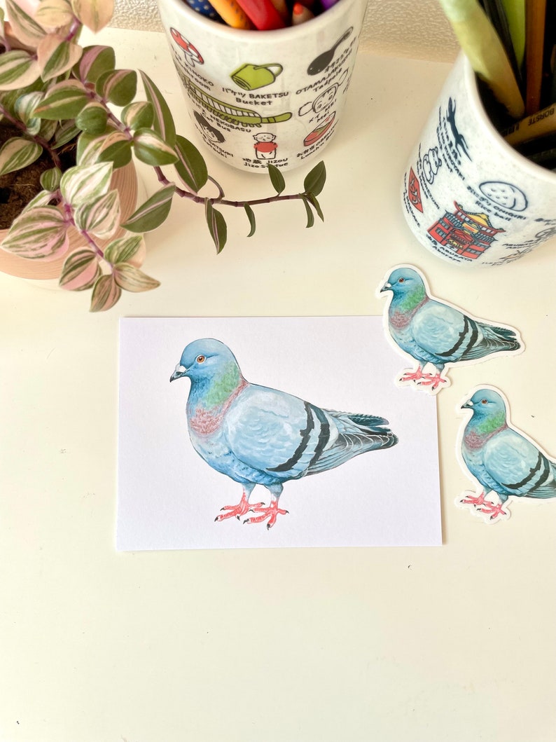 Pigeon Postcard A6 Pigeon Greeting Card, Bird Mini Art Print, illustrated animal greeting card image 2