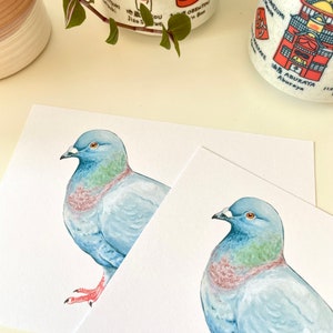 Pigeon Postcard A6 Pigeon Greeting Card, Bird Mini Art Print, illustrated animal greeting card image 3