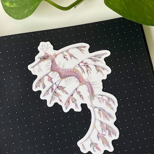 Leafy Seadragon Sticker Waterproof Vinyl Sticker, Cute Marine Life Illustration, Seahorse Decal, Laptop Notebook Sticker image 2