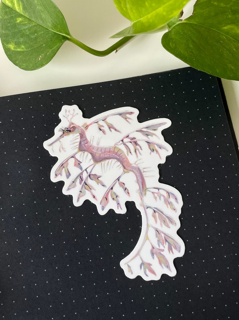 Leafy Seadragon Sticker Waterproof Vinyl Sticker, Cute Marine Life Illustration, Seahorse Decal, Laptop Notebook Sticker image 2