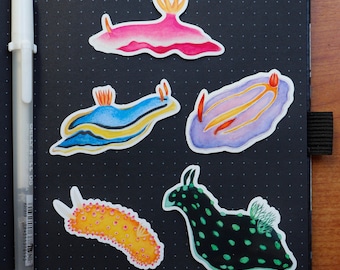 Nudibranch Sticker Set I 5 Sea Slug Vinyl Sticker, Marine Life Decal, Animal Laptop Sticker, Marine Life lover, Ocean Lover Gift, Decoration