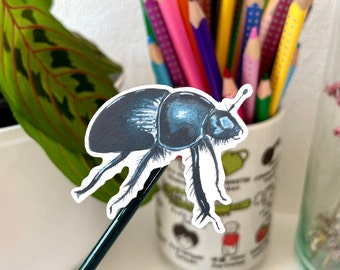 Black Beetle Sticker - insect vinyl sticker, handmade bug stationery, cute bug illustration, planner bujo decoration, laptop sticker, decal