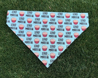 Stud Muffin Dog Bandana - Blue, Tie On or Over Collar