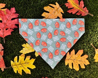Turkey Taster Dog Bandana, Fall Thanksgiving, Tie and Snap or Over Collar