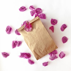 Coriandoli biodegradabili, coriandoli di petali di bouganville essiccati fucsia naturali, coriandoli per matrimoni, lancio di auguri per l'uscita di nozze, coriandoli sostenibili, eco