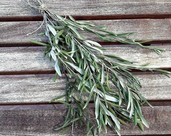 Olive Branches, Bunch Of Olive Branches, Decorative Olive Stems , Dried Olive Branch Bunch, Olive Wedding Decor, Olive leaves