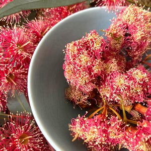 Op de afbeelding: Een lichtblauwe keramische kom gevuld met levendige roze en gele bloemen. De bloemen hebben delicate, draadachtige bloemblaadjes en worden omringd door groene bladeren. De kom is gedeeltelijk zichtbaar, wat een contrast creëert.