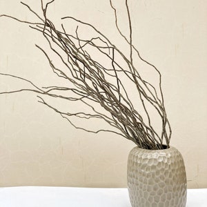 Curly Branches, Curvy Curly Dried Pine Tree Branches, Bundle of 25 Natural Curly Pine Tree Twigs, Curly Stems, 20&quot; length