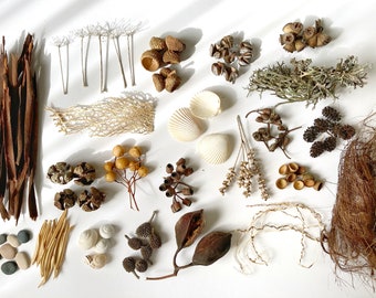 Forest Mix Box, Forest Finds Box, Woodland decor set, Craft supplies KIT, DIY,  Terrarium kit, Resin fillings, Seed pods, Pine cones, Bark.