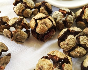 May include: A collection of dried brown pine cones with a textured surface. The cones are arranged on a white surface.