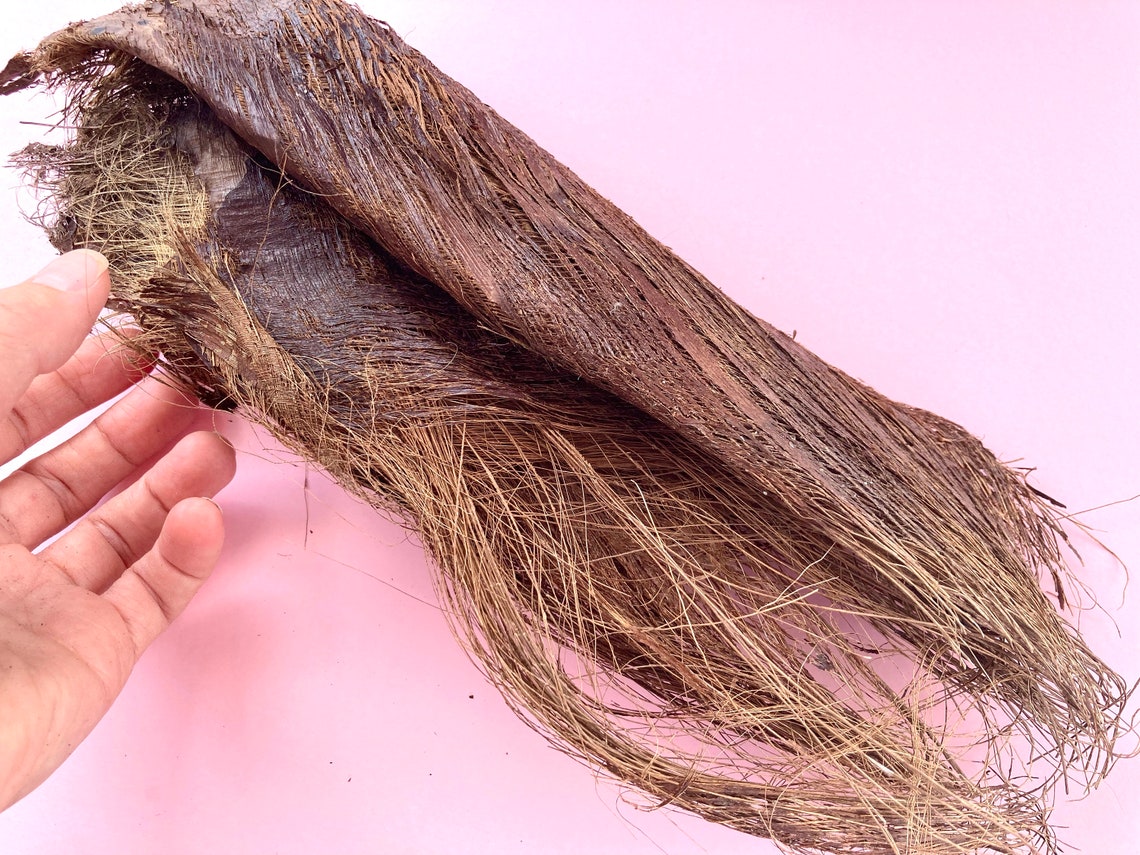 Palm tree fiber Palm tree bark Palm husk Palm fiber sheets Etsy