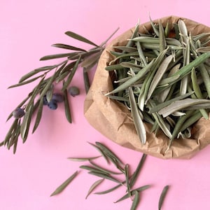 Olive Leaf Confetti | Dried Olive Leaves | Biodegradable Eco Decor | Natural Wedding Confetti | Sustainable Party Supplies