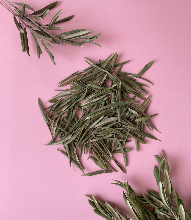 Olive Leaf Confetti Dried Olive Leaves Biodegradable Wedding Etsy