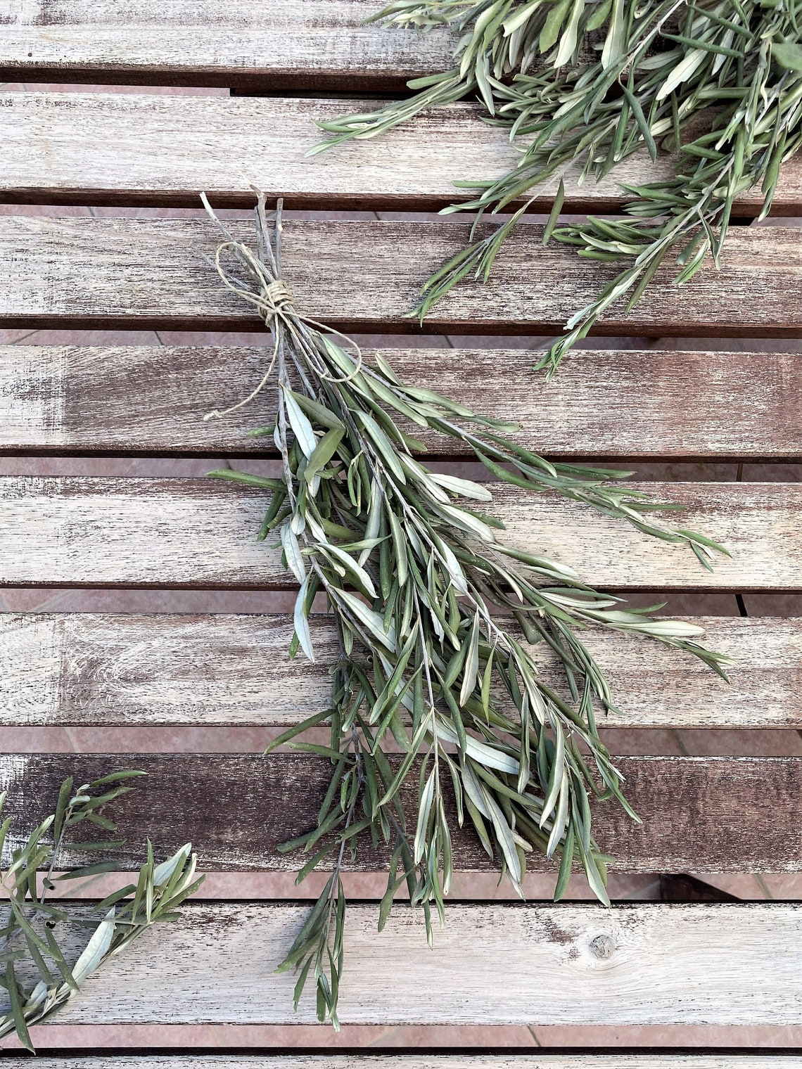 Olive Branches Bunch of Olive Branches Decorative Olive Etsy