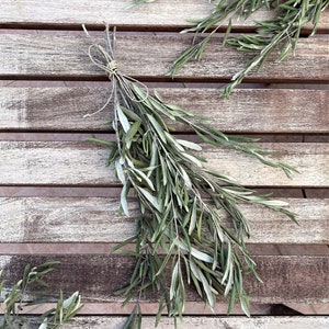 May include: A bunch of green olive branches tied together with twine, resting on a weathered wooden surface.