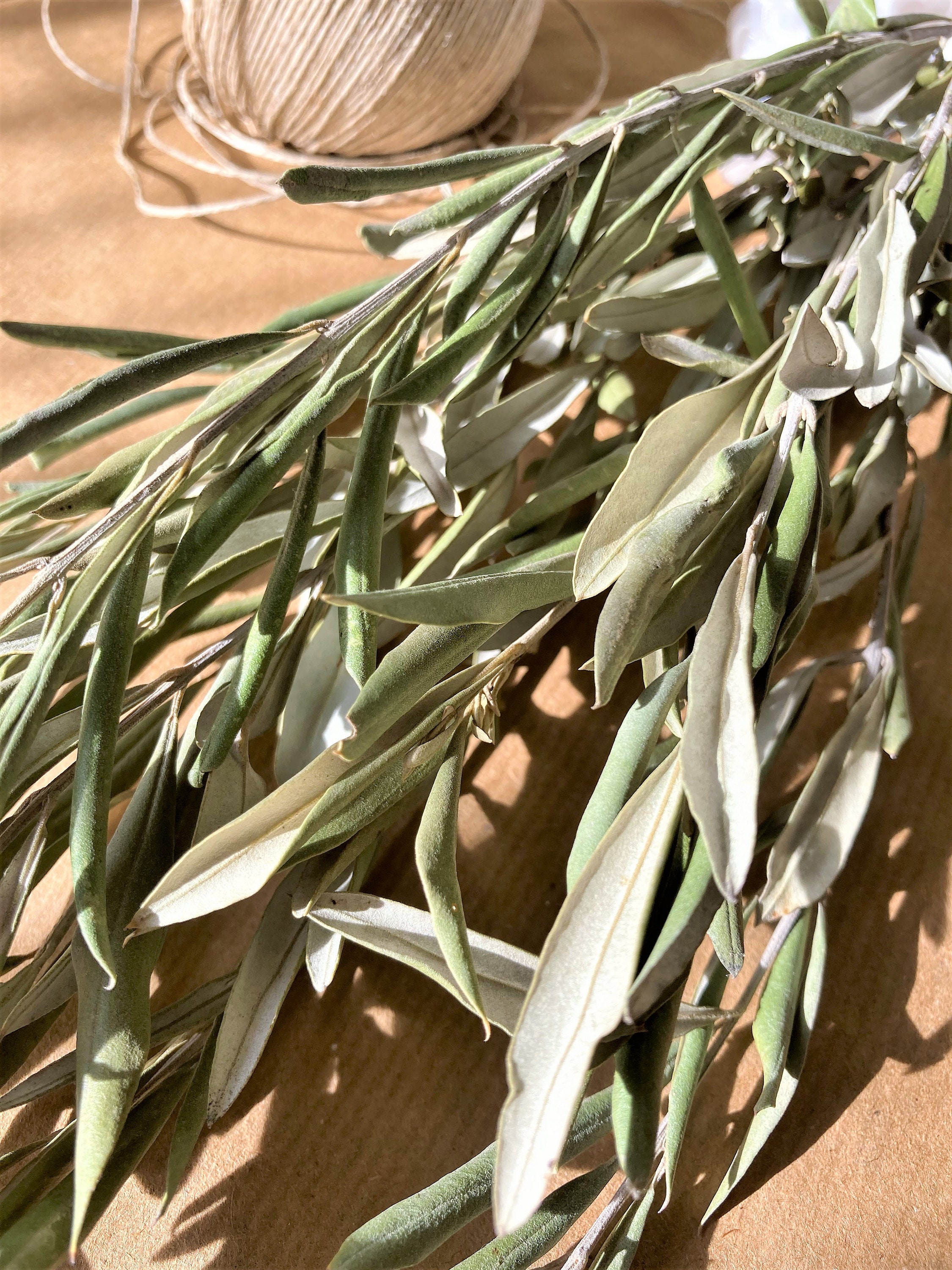 Olive Branches Bunch Of Olive Branches Decorative Olive Etsy